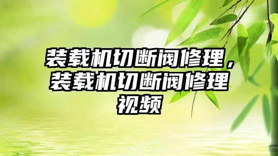 裝載機(jī)切斷閥修理，裝載機(jī)切斷閥修理視頻