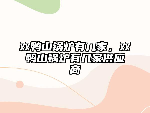 雙鴨山鍋爐有幾家，雙鴨山鍋爐有幾家供應(yīng)商