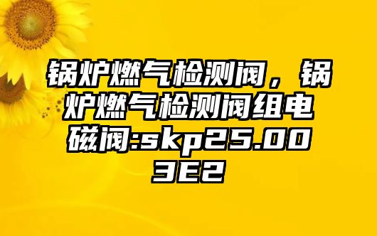 鍋爐燃?xì)鈾z測閥，鍋爐燃?xì)鈾z測閥組電磁閥:skp25.003E2