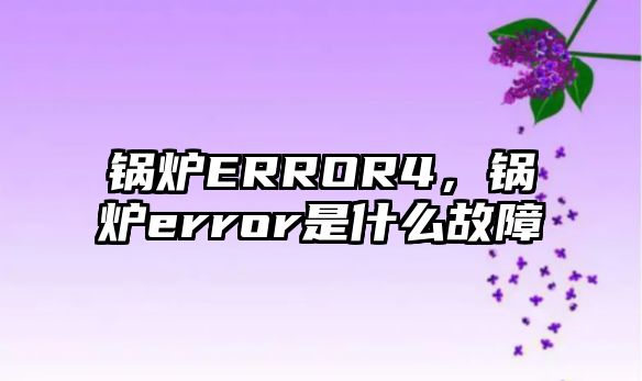 鍋爐ERROR4，鍋爐error是什么故障