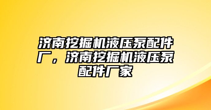 濟(jì)南挖掘機(jī)液壓泵配件廠，濟(jì)南挖掘機(jī)液壓泵配件廠家