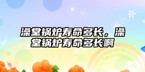 澡堂鍋爐壽命多長(zhǎng)，澡堂鍋爐壽命多長(zhǎng)啊