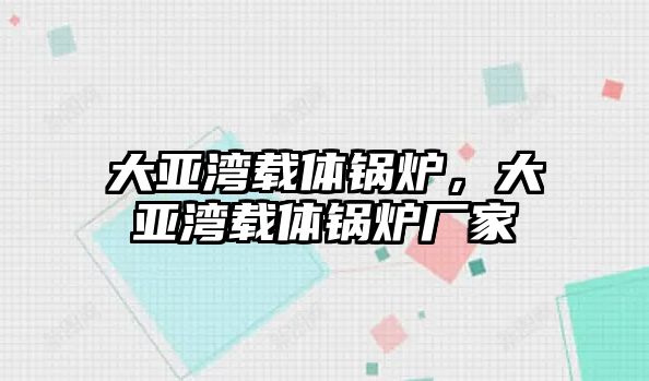 大亞灣載體鍋爐，大亞灣載體鍋爐廠家