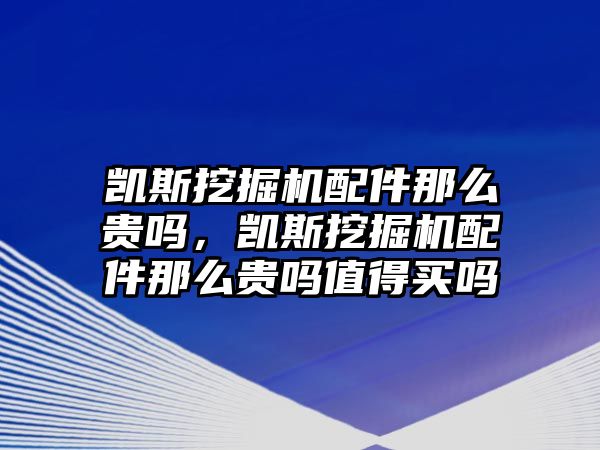 凱斯挖掘機(jī)配件那么貴嗎，凱斯挖掘機(jī)配件那么貴嗎值得買嗎