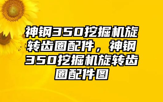 神鋼350挖掘機旋轉(zhuǎn)齒圈配件，神鋼350挖掘機旋轉(zhuǎn)齒圈配件圖