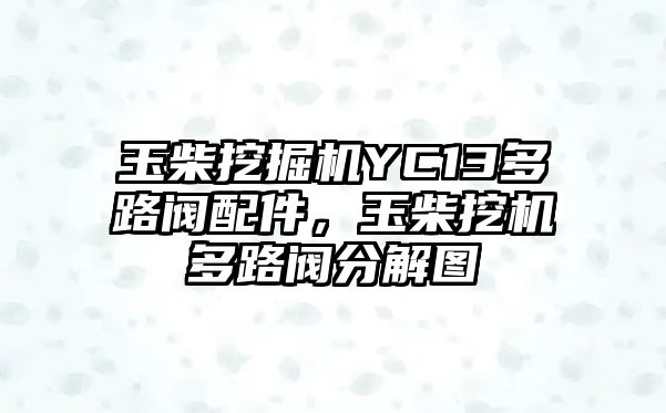 玉柴挖掘機YC13多路閥配件，玉柴挖機多路閥分解圖