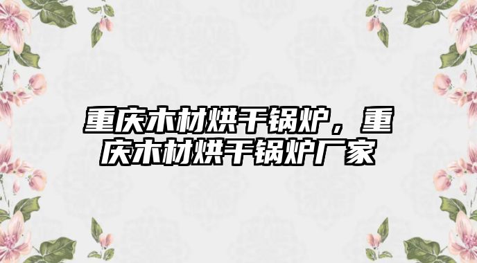 重慶木材烘干鍋爐，重慶木材烘干鍋爐廠家