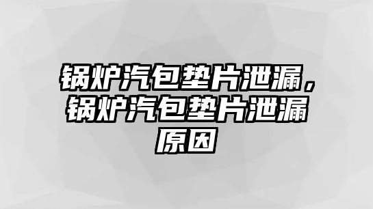 鍋爐汽包墊片泄漏，鍋爐汽包墊片泄漏原因