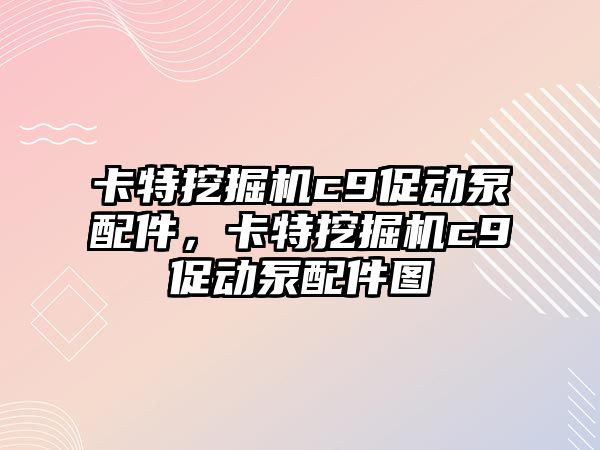 卡特挖掘機c9促動泵配件，卡特挖掘機c9促動泵配件圖