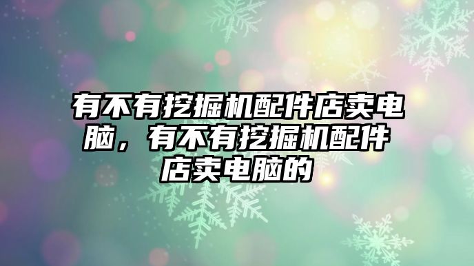 有不有挖掘機(jī)配件店賣電腦，有不有挖掘機(jī)配件店賣電腦的