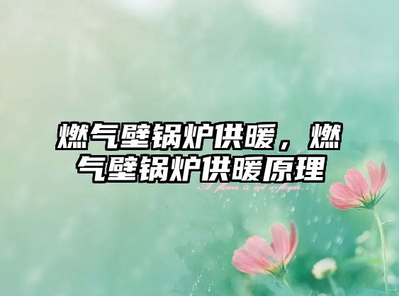 燃?xì)獗阱仩t供暖，燃?xì)獗阱仩t供暖原理