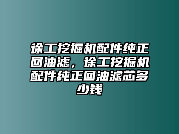 徐工挖掘機(jī)配件純正回油濾，徐工挖掘機(jī)配件純正回油濾芯多少錢