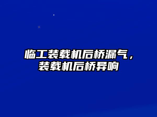 臨工裝載機后橋漏氣，裝載機后橋異響