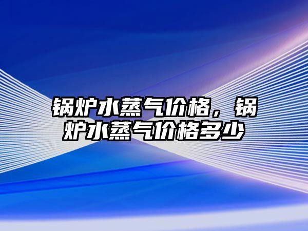 鍋爐水蒸氣價格，鍋爐水蒸氣價格多少