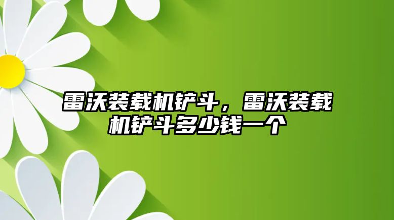 雷沃裝載機鏟斗，雷沃裝載機鏟斗多少錢一個