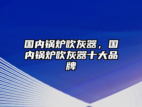 國內(nèi)鍋爐吹灰器，國內(nèi)鍋爐吹灰器十大品牌