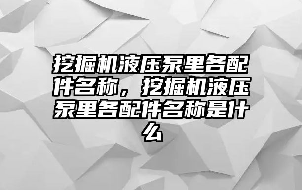 挖掘機液壓泵里各配件名稱，挖掘機液壓泵里各配件名稱是什么