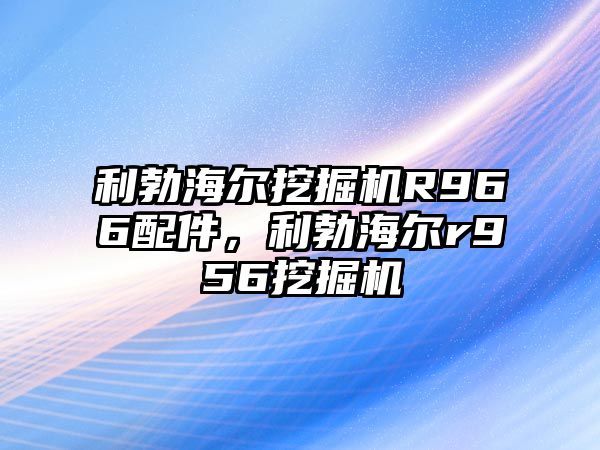 利勃海爾挖掘機(jī)R966配件，利勃海爾r956挖掘機(jī)