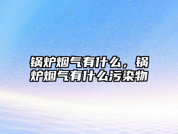 鍋爐煙氣有什么，鍋爐煙氣有什么污染物