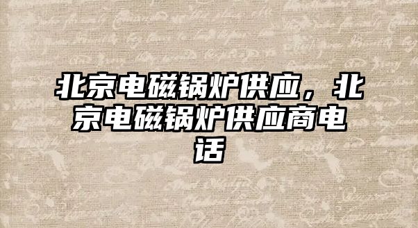 北京電磁鍋爐供應(yīng)，北京電磁鍋爐供應(yīng)商電話