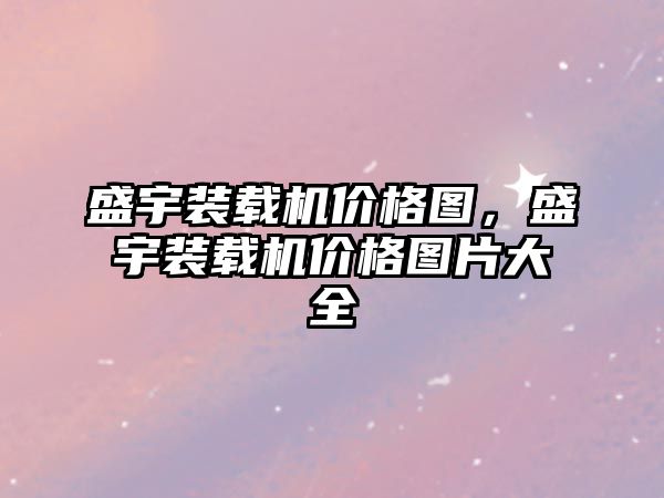 盛宇裝載機(jī)價格圖，盛宇裝載機(jī)價格圖片大全