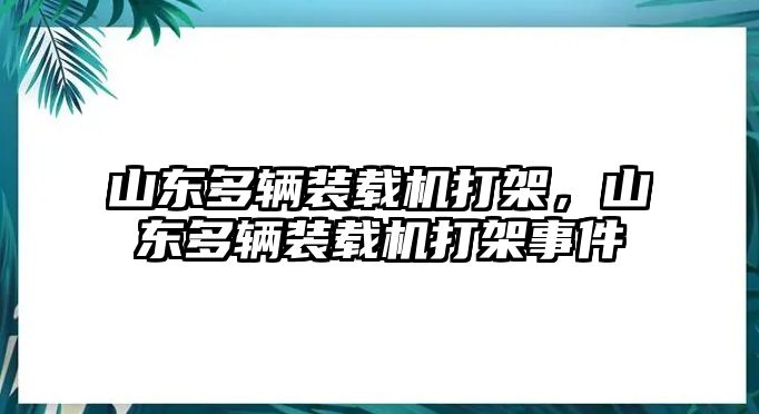 山東多輛裝載機打架，山東多輛裝載機打架事件