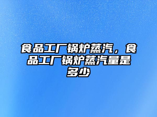 食品工廠鍋爐蒸汽，食品工廠鍋爐蒸汽量是多少