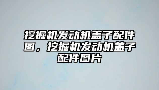 挖掘機發(fā)動機蓋子配件圖，挖掘機發(fā)動機蓋子配件圖片