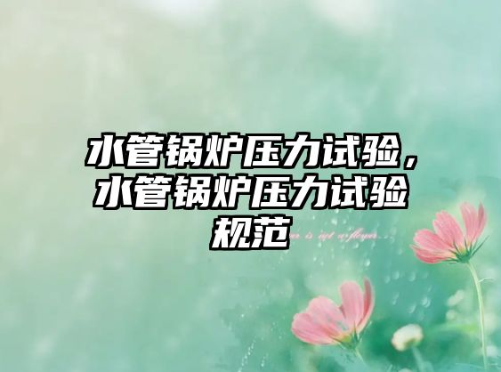 水管鍋爐壓力試驗(yàn)，水管鍋爐壓力試驗(yàn)規(guī)范