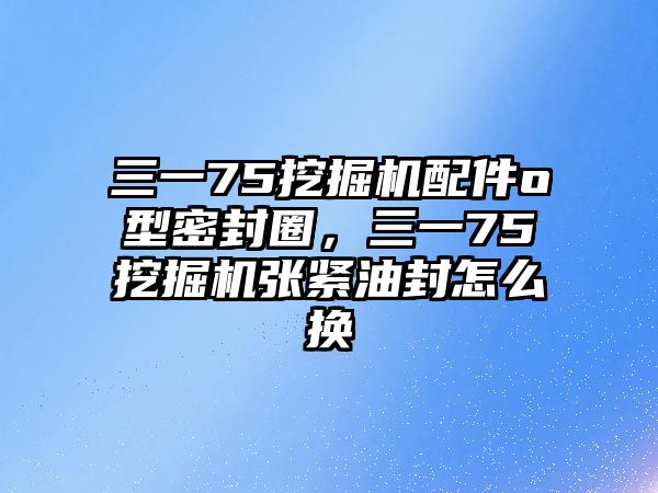 三一75挖掘機(jī)配件o型密封圈，三一75挖掘機(jī)張緊油封怎么換