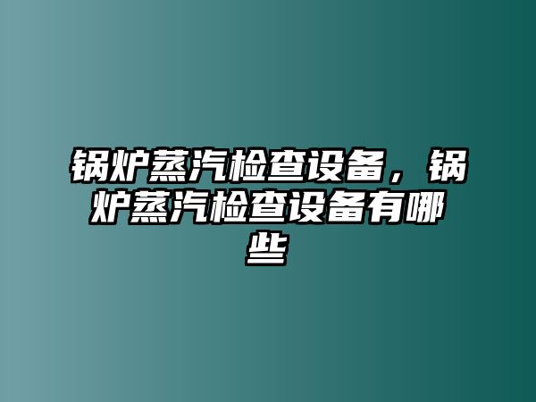 鍋爐蒸汽檢查設(shè)備，鍋爐蒸汽檢查設(shè)備有哪些