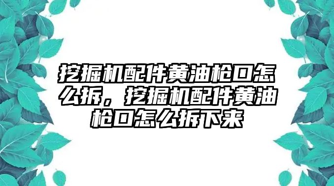 挖掘機配件黃油槍口怎么拆，挖掘機配件黃油槍口怎么拆下來