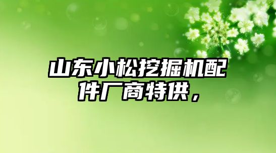 山東小松挖掘機配件廠商特供，