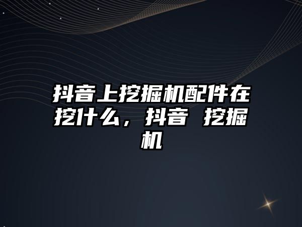 抖音上挖掘機配件在挖什么，抖音 挖掘機