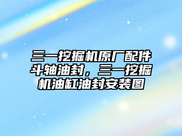 三一挖掘機原廠配件斗軸油封，三一挖掘機油缸油封安裝圖