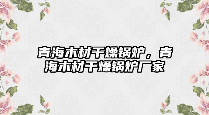 青海木材干燥鍋爐，青海木材干燥鍋爐廠家