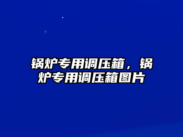 鍋爐專用調壓箱，鍋爐專用調壓箱圖片