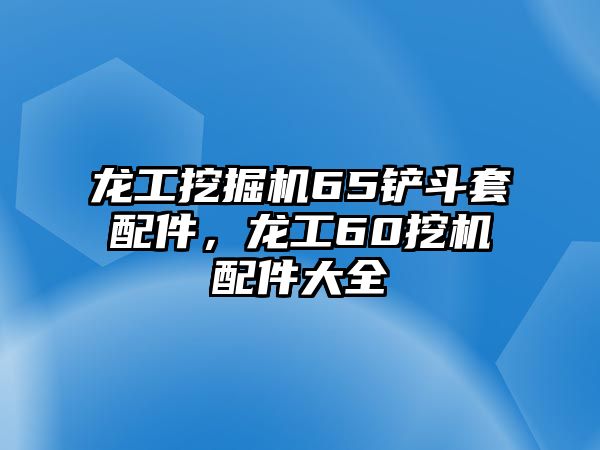 龍工挖掘機65鏟斗套配件，龍工60挖機配件大全