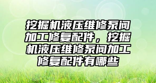 挖掘機液壓維修泵閥加工修復配件，挖掘機液壓維修泵閥加工修復配件有哪些