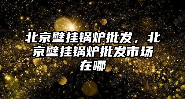 北京壁掛鍋爐批發(fā)，北京壁掛鍋爐批發(fā)市場在哪