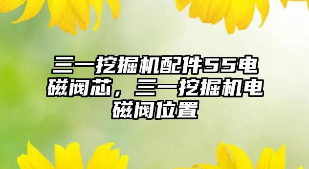 三一挖掘機配件55電磁閥芯，三一挖掘機電磁閥位置