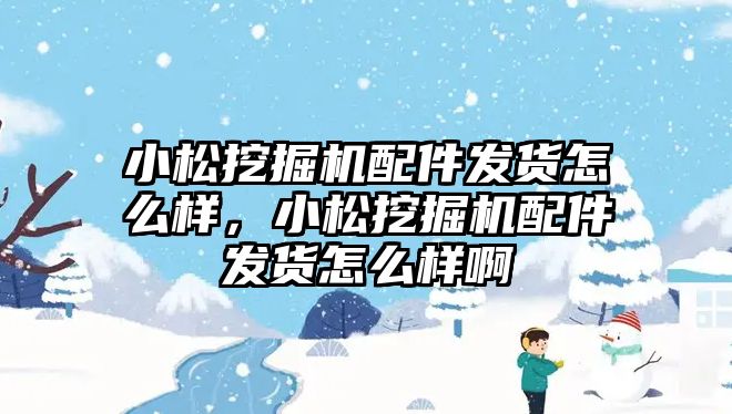 小松挖掘機配件發(fā)貨怎么樣，小松挖掘機配件發(fā)貨怎么樣啊