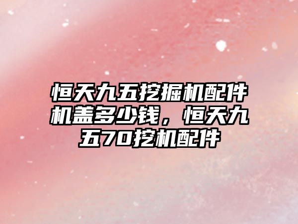 恒天九五挖掘機(jī)配件機(jī)蓋多少錢，恒天九五70挖機(jī)配件