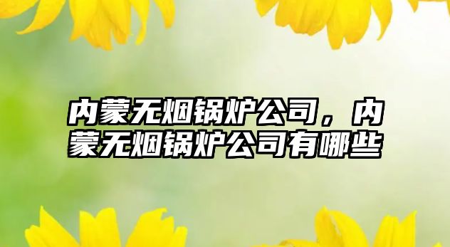 內(nèi)蒙無煙鍋爐公司，內(nèi)蒙無煙鍋爐公司有哪些