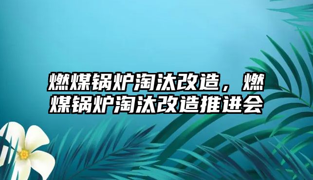 燃煤鍋爐淘汰改造，燃煤鍋爐淘汰改造推進會