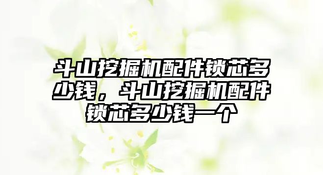 斗山挖掘機配件鎖芯多少錢，斗山挖掘機配件鎖芯多少錢一個