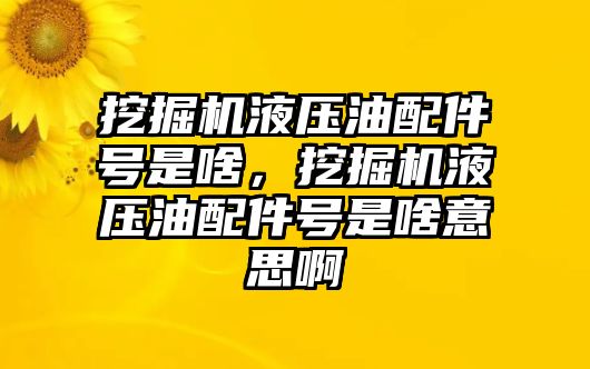 挖掘機液壓油配件號是啥，挖掘機液壓油配件號是啥意思啊