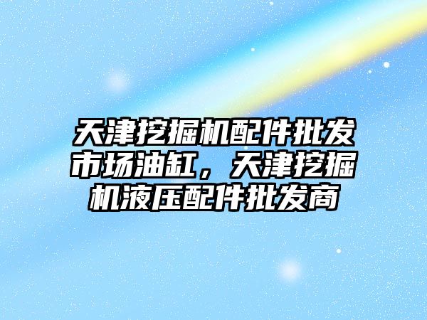 天津挖掘機配件批發(fā)市場油缸，天津挖掘機液壓配件批發(fā)商