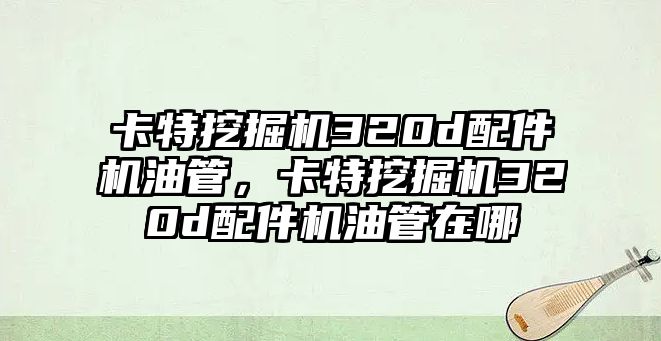 卡特挖掘機(jī)320d配件機(jī)油管，卡特挖掘機(jī)320d配件機(jī)油管在哪