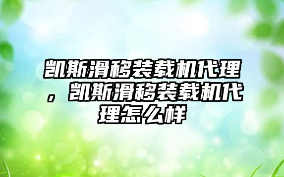 凱斯滑移裝載機(jī)代理，凱斯滑移裝載機(jī)代理怎么樣